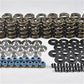 PAC Racing Springs PAC-11905KIT-COM Pac Racing Hot Rod Series Ls Dual Valve Spring Kit LS1 LS2 LS3