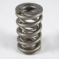 PAC Racing Springs PAC11905KX Pac Racing Chev LS1 LS2 LS3 Hot Rod Series Ls Dual Valve Springs