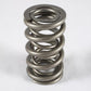PAC Racing Springs PAC1207X Pac Racing Chev LS1 LS2 LS3 V8 Ls RPM Series Dual Valve Springs