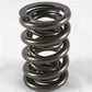PAC Racing Springs PAC1225 Pac Dual Valve Springs 644 Lb/In 1.150" Bind Height 1.550" OD .788 ID