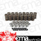 PAC Racing Springs PAC1237XKIT Pac Racing Dual Valve Spring Kit 550Lbs/In Springsretainers & Locks