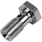Proflow PFE300-03LCH Chrome Banjo Bolt 3/8" x 24UNF 25mm Long