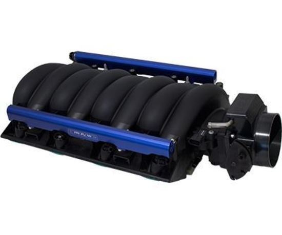 Proflow PFE827-03 Male Flare Union Adaptor -03AN 45 Degree Union Blue