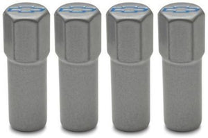 Proform PR141-367 Mini Nuts Valve Cover Steel Gray Blue Bowtie Emblem