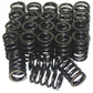 Performance Springs PS51892-24 Valve Spring Set For Toyota 2Jz 1.035" O.D