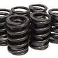 Suit Ford 6 Cyl. X-Flow Number of Springs Per Valve: Single 6Cyl 1.485" O.D./1.110" I.D Performance Springs PSCL302-12