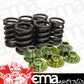 Chev/GM LS Series V8 Performance Springs PSR60668K Performance Springs PSR60668K