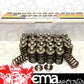 Performance Springs PST259025K Valve Spring & Titanium Retainer Kit suit For Toyota 2Jz