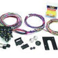 Painless Wiring PW10102 21 Circuit Universal Wiring Harness Kit Non GM Column