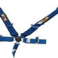 RCI RCI9210CC 5 Point 3" Cam-Lock Racing Harness Blue Pull Down Type SFI 16.1