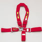 RCI RCI9310B 5 Point Y-Type 3" Latch Type Racing Harness - Red Pull Down Type. SFI 16.1 Rated
