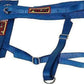 RCI RCI9462C Adult Arm Restraints Blue SFI 3.3