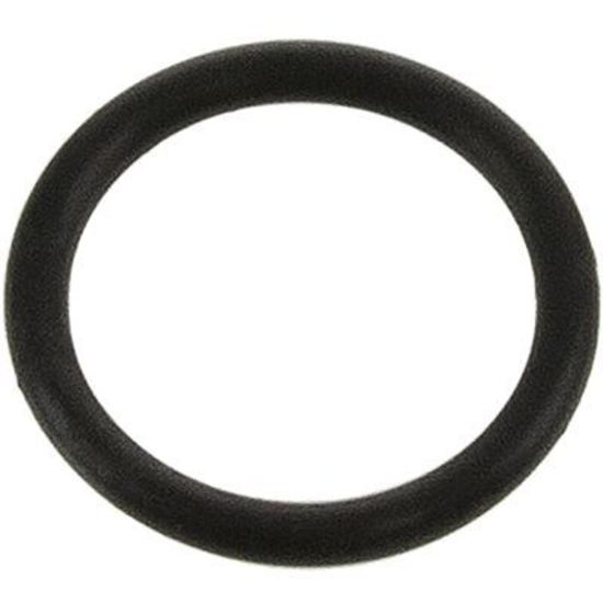 Richmond RI8280040 O-Ring