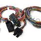 RPC RPCR1002x Universal 12 Circuit Wire Harness Kit