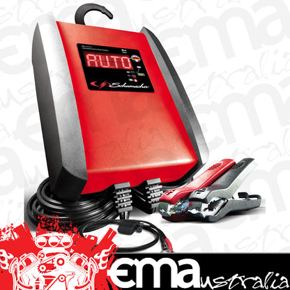 Schumacher SESPI6 12V-6A Battery