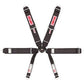 Simpson SI29118SO 6-Point Harness Pulldown Bolt In Black