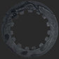Strange STC1790 11' Carbon Rotor for Strange Rear Carbon Kit- Ea