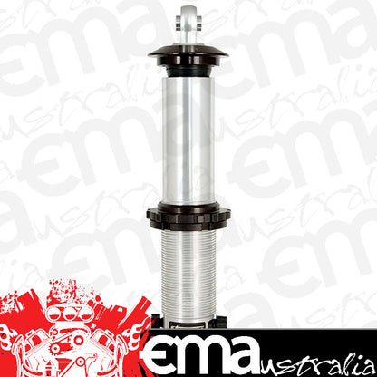 Strange | STS5206A | Single Adjustable Shoc