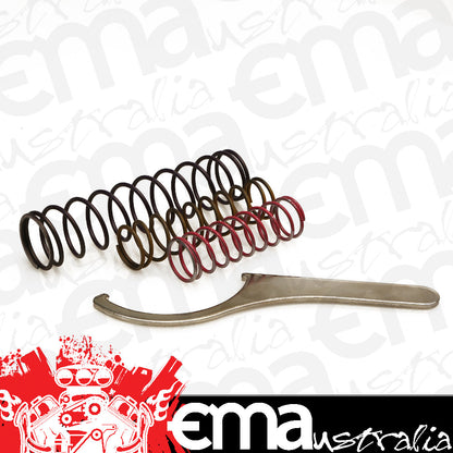Turbosmart TS-0204-2104 Race Port Blow Off Valve Spring Kit Range 4-10 Inhg
