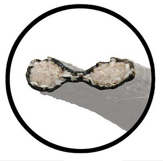 Vintique Inc Grill To Bonnet Lace Kit (Suit 1933-34 Passenger Car, Cloth Lace With Rivets) (VI40-16739-S)