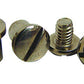 Vintique Inc Polished S/S Pivot Bolt & Nut Set (Suit 1928-32 Ford Closed Car & 1928-34 Pickup (Pair)) (VIA-45475-SS)