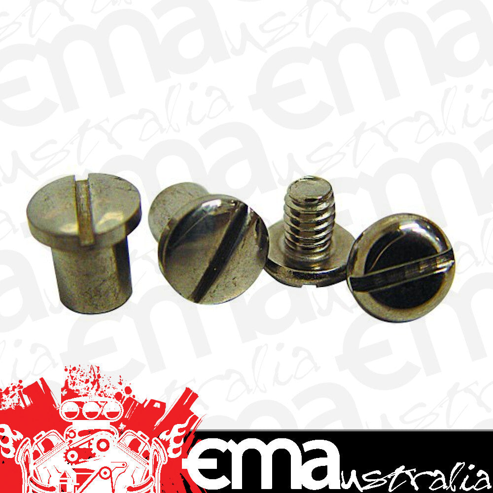 Vintique Inc Polished S/S Pivot Bolt & Nut Set (Suit 1928-32 Ford Closed Car & 1928-34 Pickup (Pair)) (VIA-45475-SS)