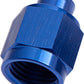 Aeroflow AF820-10 Flare Cap Female -10AN Blue -10AN Female Blank Off