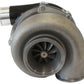 Aeroflow AF8005-3058BLK BOOSTED 6255 1.21 Turbocharger 900HP, Hi Temp Black Finish External Wastegate, V-Band Inlet & Exhaust Flanges