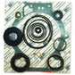 PCM Pleasurecraft Marine PCMRK173058 Gsk/Oil Seal Kit All Pcm