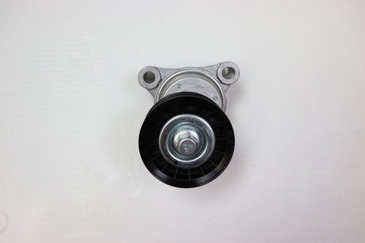 PCM Pleasurecraft Marine PCMRA068002 BELT TENSIONER ASSEMBLY, 6.0L, 2003+