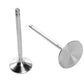 Air Flow Research AFR7253 Chev SB 8mm S/S Intake Valves (each)