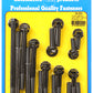 ARP 154-3204 Ford 289-302 Hex Iron Water Pump And Front Cover Bolt Kit