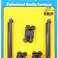 ARP 154-7502 SB Ford Pn# M-6582-Z351 12PT Valve Cover Bolt Kit