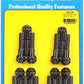 ARP 155-2105 BB Ford V8 12PT Intake Manifold Bolt Kit