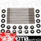 ARP 201-4306 Bmw S1000Rr Head Stud Kit