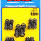 ARP 254-1801 Ford 289-302 351C&W 12PT Oil Pan Bolt Kit