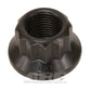 ARP 300-8309 5/8-18 12PT Nut Kit