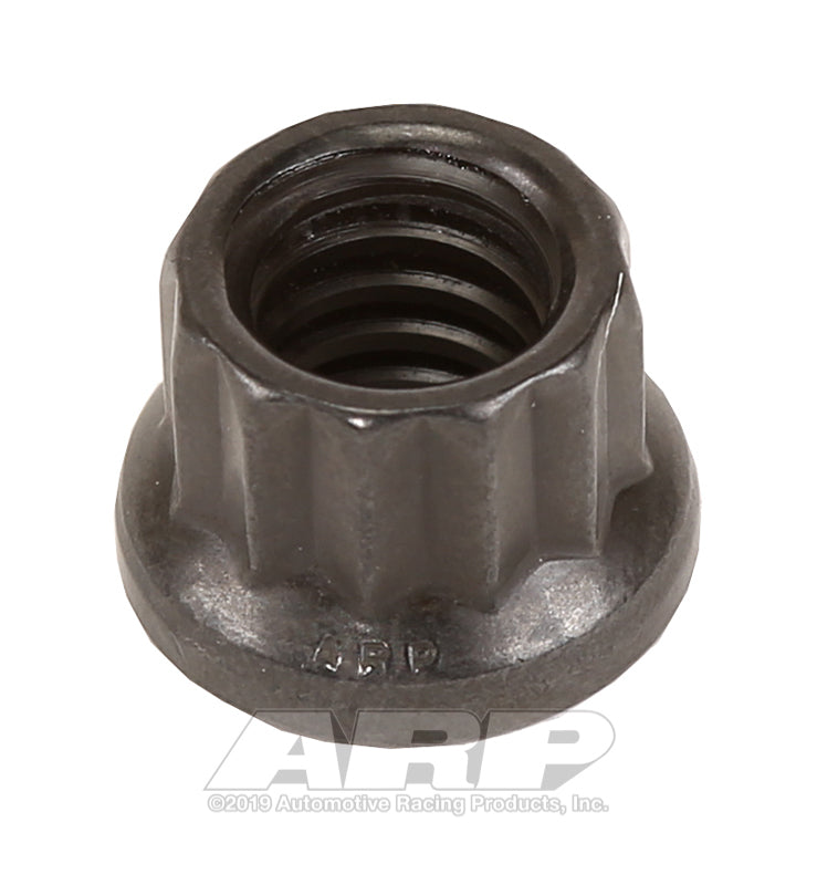 ARP 301-8300 1/4-20 12PT Nut Kit