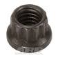 ARP 301-8303 5/16-18 12PT Nut Kit