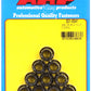 ARP 301-8341 3/8-16 12PT Nut Kit