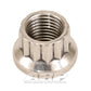 ARP 400-8302 3/8-24 SS 12PT Nut Kit