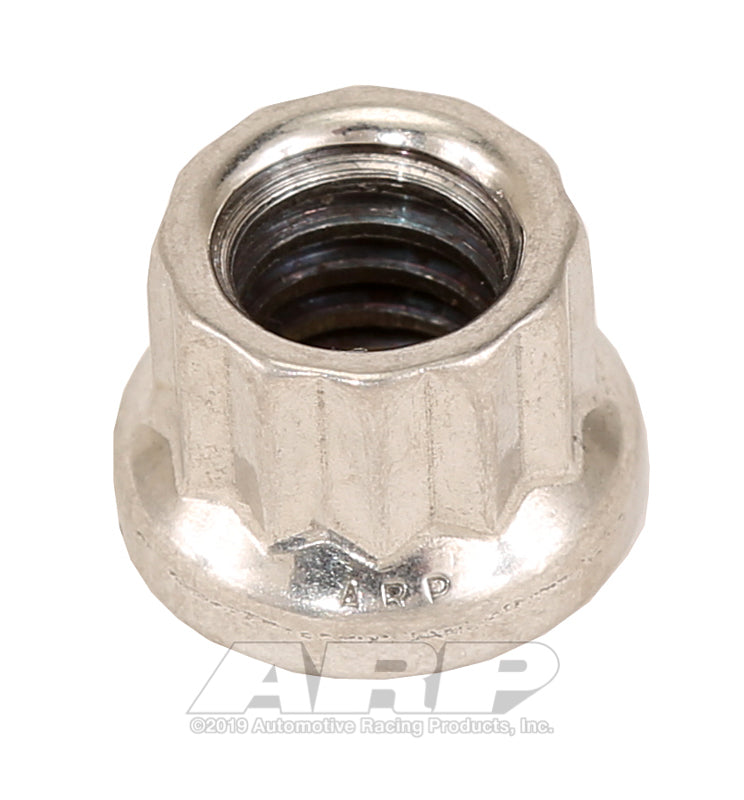ARP 401-8300 1/4-20 SS 12PT Nut Kit
