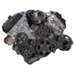 CVF BD-FC5-WRAPTOR-AC Black Diamond Serpentine System for Ford Coyote 5.0 - AC Power Steering & Alternator - All Inclusive