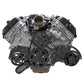 CVF BD-FC5-WRAPTOR-PS Black Diamond Serpentine System for Ford Coyote 5.0 - Alternator & Power Steering - All Inclusive