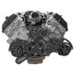 CVF BD-FC5-WRAPTOR-AC Black Diamond Serpentine System for Ford Coyote 5.0 - AC Power Steering & Alternator - All Inclusive