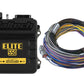 Haltech HT-150402 Elite 550 + Basic Universal Wire-in Harness Kit 2.5m (8?)