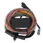 Haltech HT-150404 Elite 550 + Premium Universal Wire-in Harness Kit 2.5m (8?)