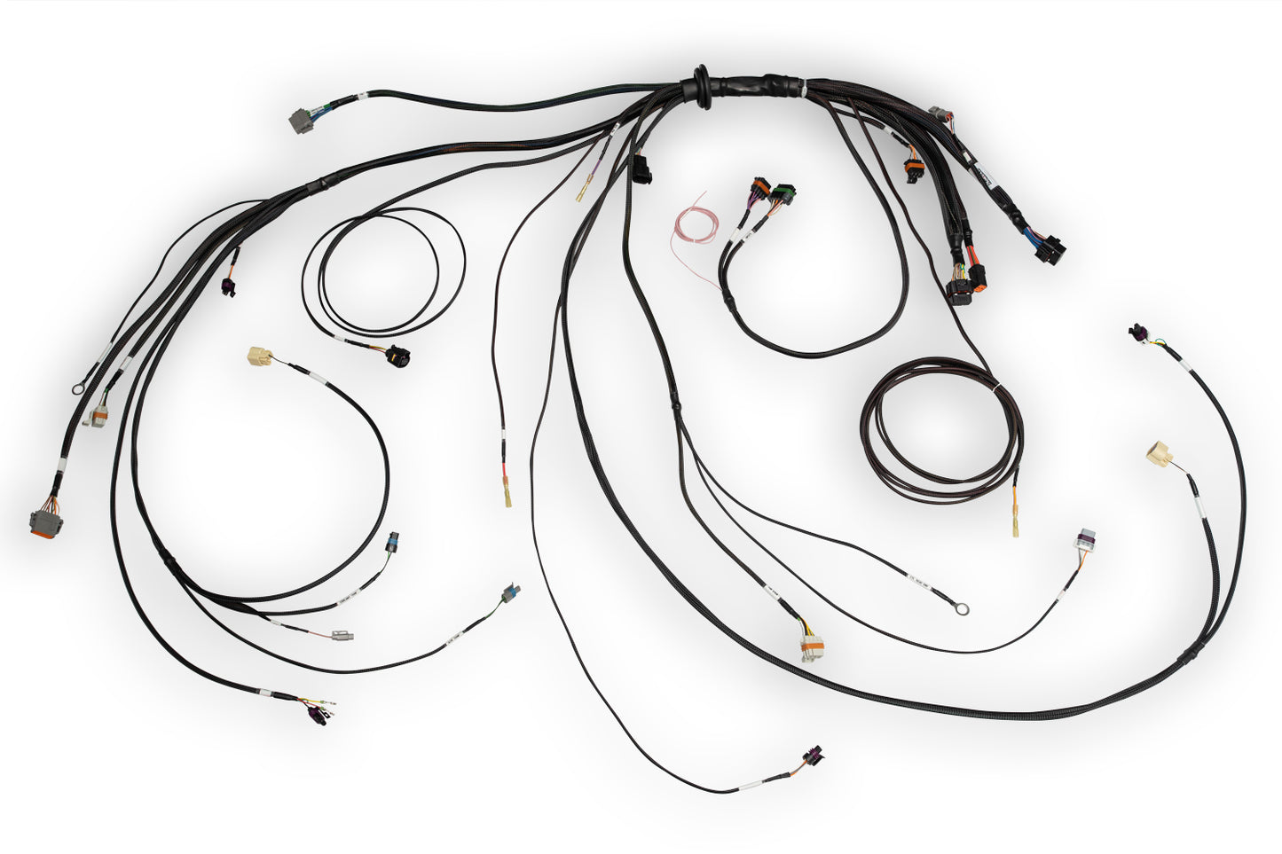 Haltech HT-186500 Nexus Rebel LS Terminated Harness for Nexus Rebel LS ECU