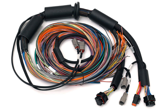 Haltech HT-183200 Nexus R3 Universal Wire-in Harness - 2.5m (8')