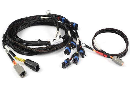 Haltech HT-186060 Nexus V8 IGN-1A GM/Chrysler Harness